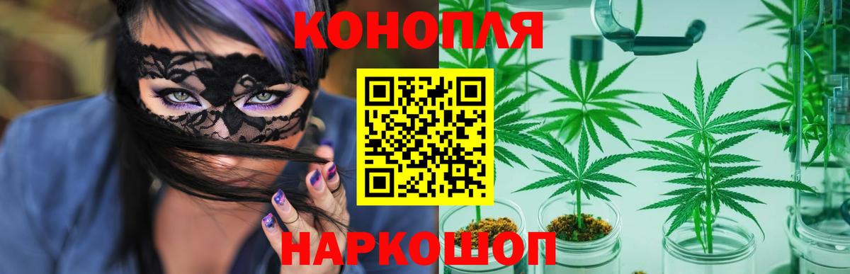 Конопля Ganja Шебекино